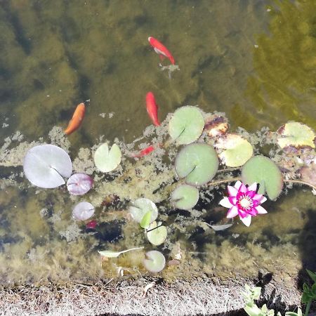 Un Avant Gout Du Nirvana Canet  Exterior foto