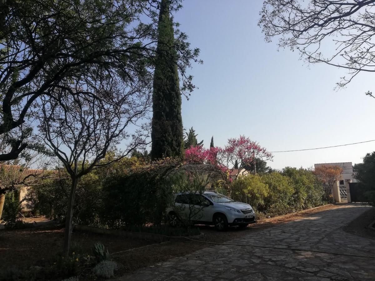 Un Avant Gout Du Nirvana Canet  Exterior foto